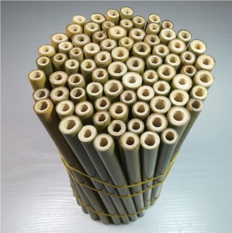 Bamboo Straws
