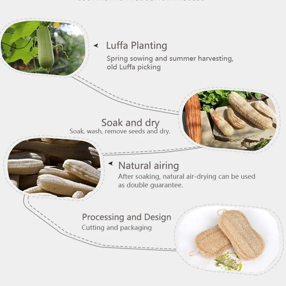 Natural Loofah Sponge, Biodegradable, Compostable