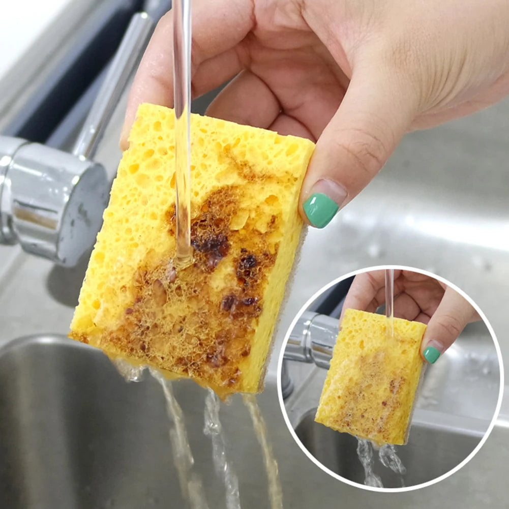 Non Scratch Plant Based Compostable Scrub Sponge 5 pcs