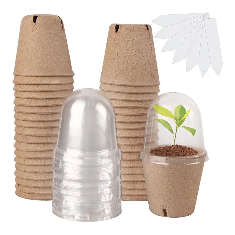 Plant Pots With Humidity Dome, 36